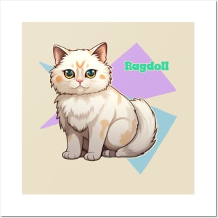 Ragdoll Posters and Art